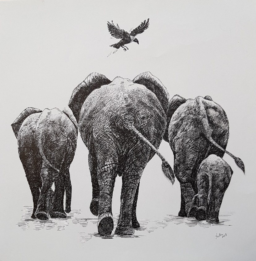 Once Upon a Time  Series-4