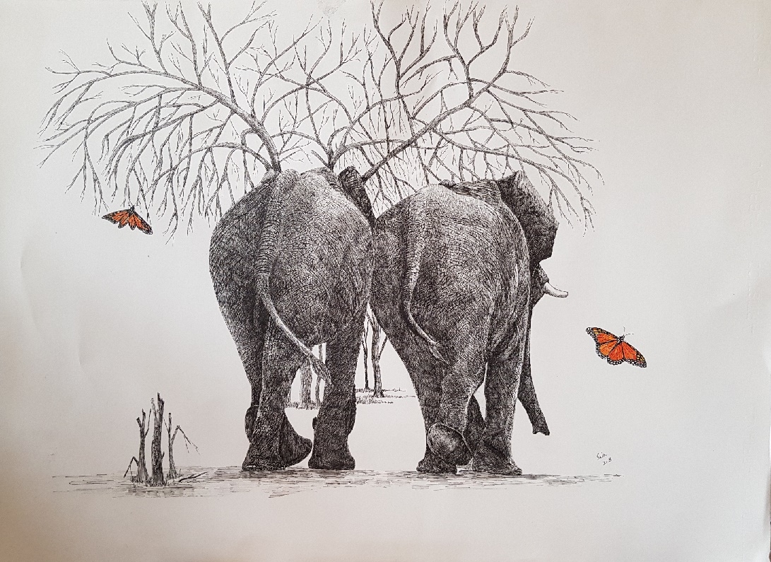 Once Upon a Time  Series-5