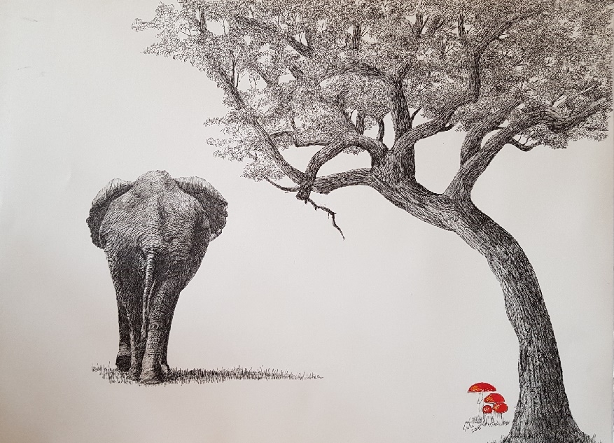 Once Upon a Time  Series-7