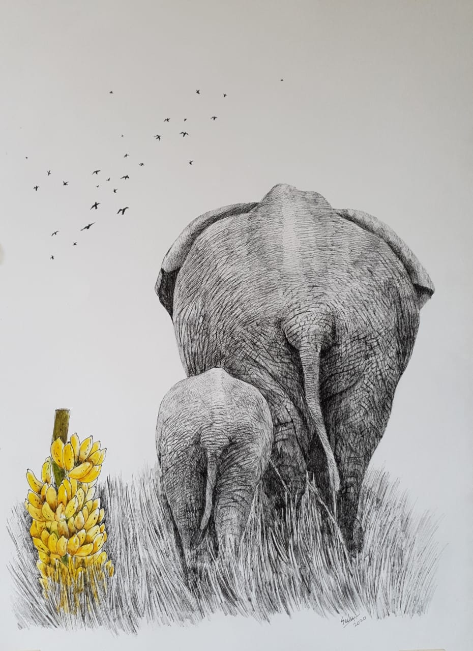 Once Upon a Time Series-14