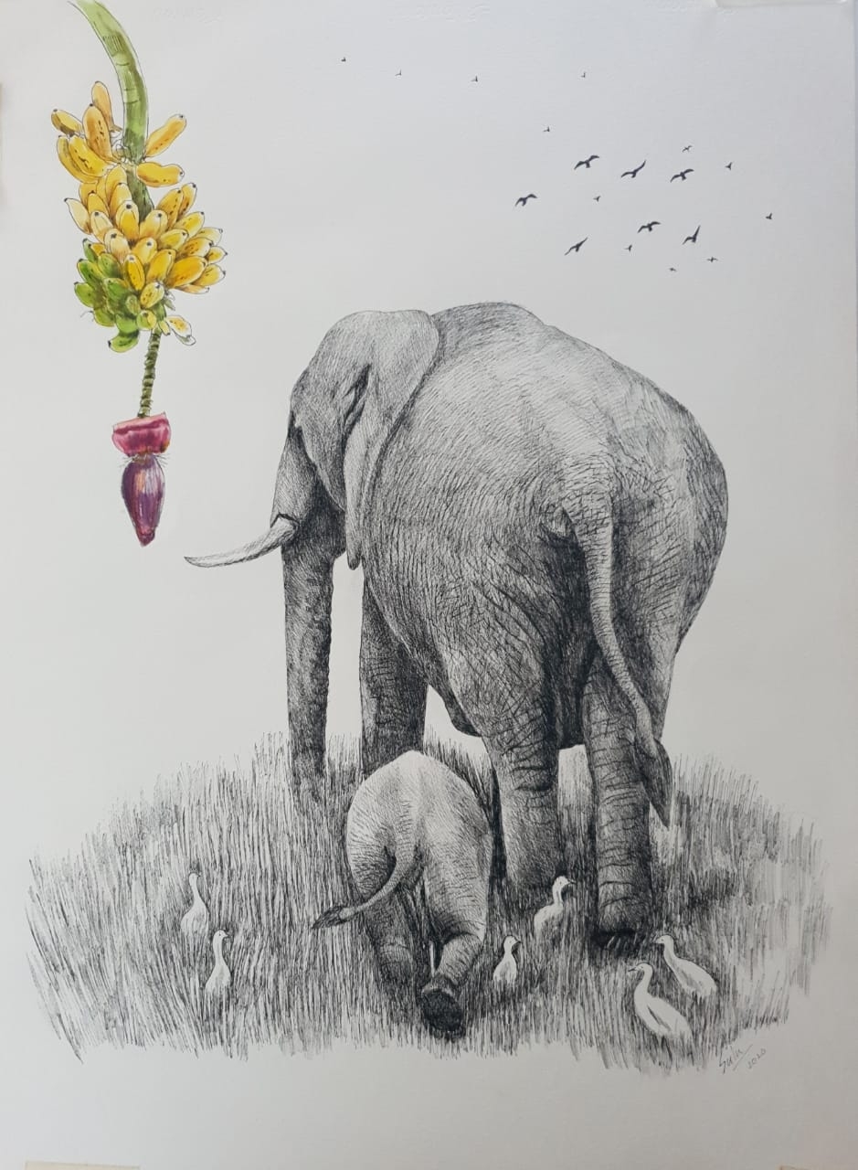 Once Upon a Time Series-15