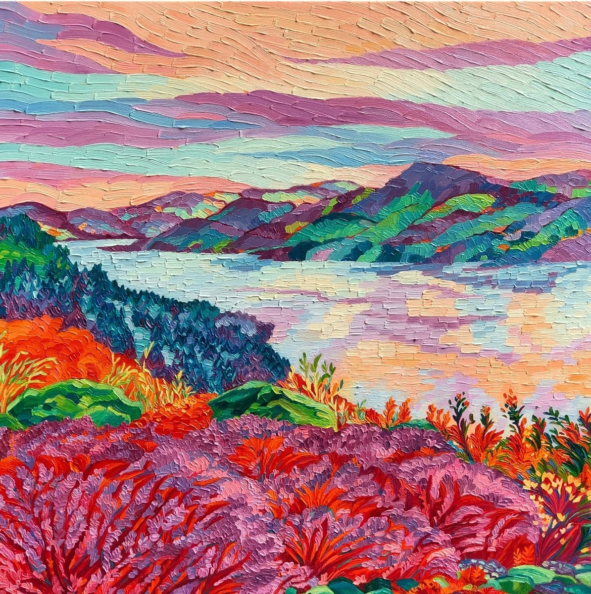 Nature’s Imagination